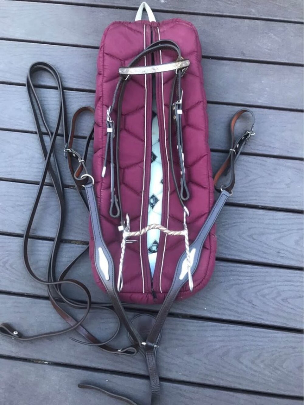 Leather & Sterling Silver Horse Bridle, Breast Collar, Reins, bit and  carry bag
